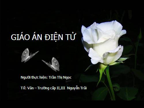 Bài 12. Tổng kết về từ vựng (Luyện tập tổng hợp)