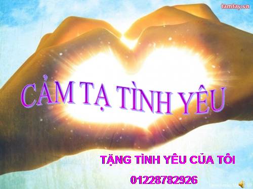 CẢM TẠ TÌNH YÊU