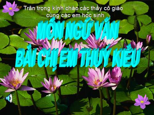 Bài 6. Chị em Thúy Kiều