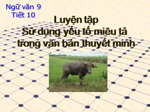 Bài 2. Luyện tập sử dụng yếu tố miêu tả trong văn bản thuyết minh