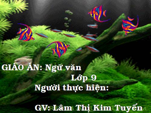 Bài 3. Tuyên bố thế giới về sự sống còn, quyền được bảo vệ và phát triển của trẻ em