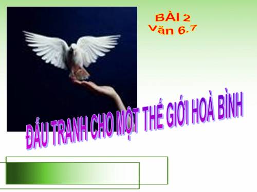 Bài 2. Đấu tranh cho một thế giới hoà bình