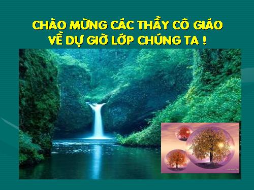 Bài 6. Cảnh ngày xuân