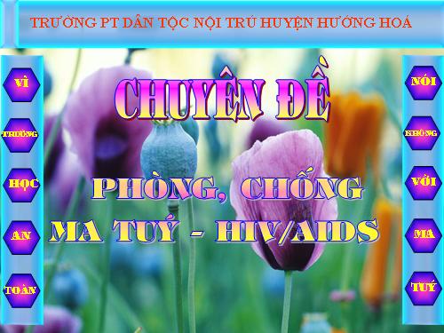 chuyen de phong chong ma tuy