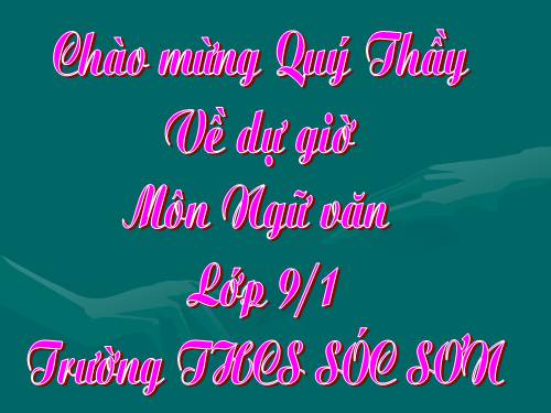 Bài 30. Tổng kết về ngữ pháp (tiếp theo)