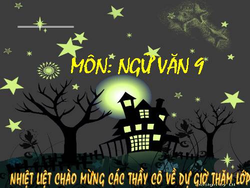 Bài 30. Tổng kết về ngữ pháp (tiếp theo)