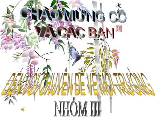 VẤN ĐỀ VỀ MÔI TRƯỜNG