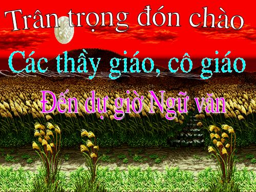 Bài 28. Những ngôi sao xa xôi