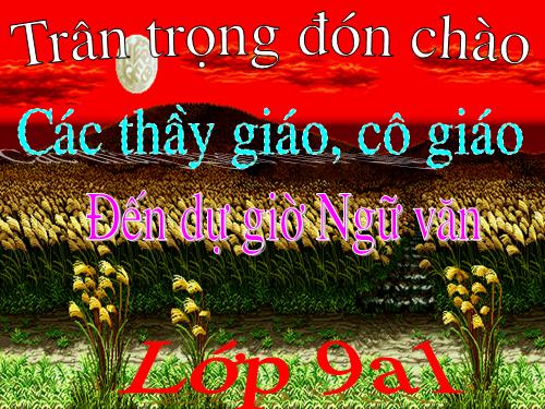 Bài 28. Những ngôi sao xa xôi