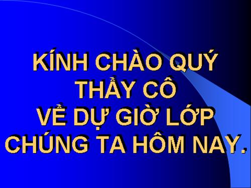 Bài 9. Lục Vân Tiên gặp nạn