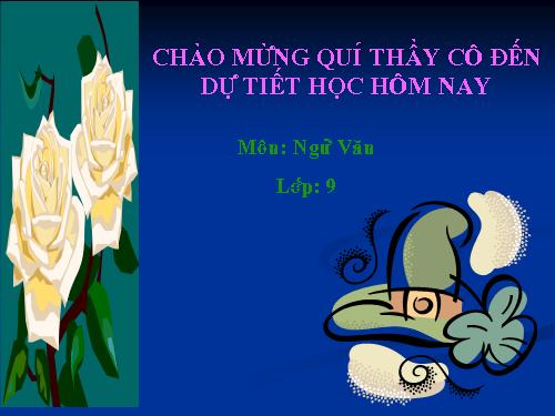 Bài 23. Viếng lăng Bác