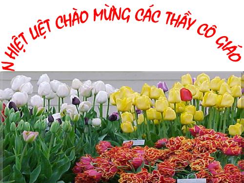 Bài 25. Nghĩa tường minh và hàm ý (tiếp theo)