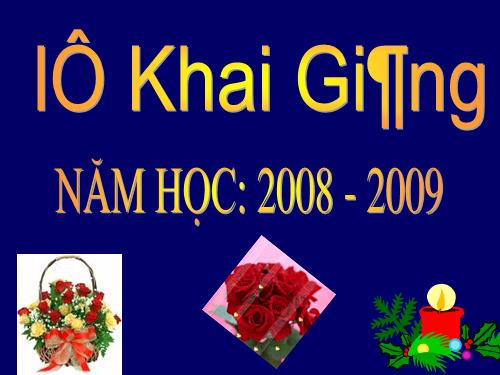 Thành tích năm học 2007-2008