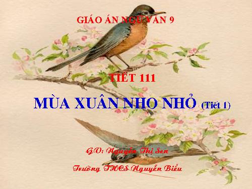 Bài 23. Mùa xuân nho nhỏ