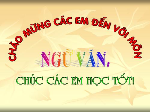 Bài 24. Nghĩa tường minh và hàm ý