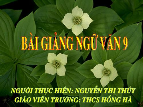 Bài 23. Viếng lăng Bác