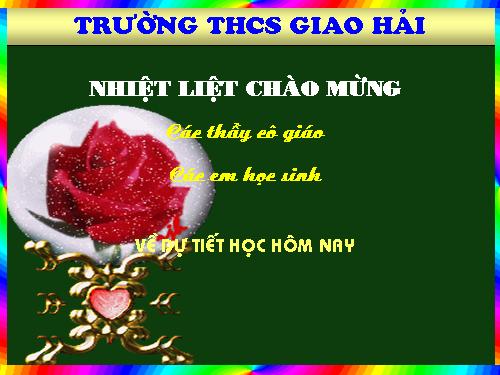 Bài 15. Chiếc lược ngà