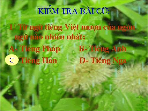 Bài 6. Thuật ngữ