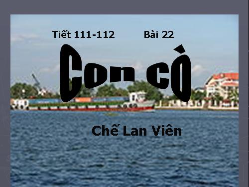 Bài 22. Con cò