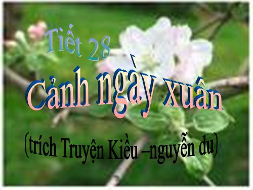 Bài 6. Cảnh ngày xuân