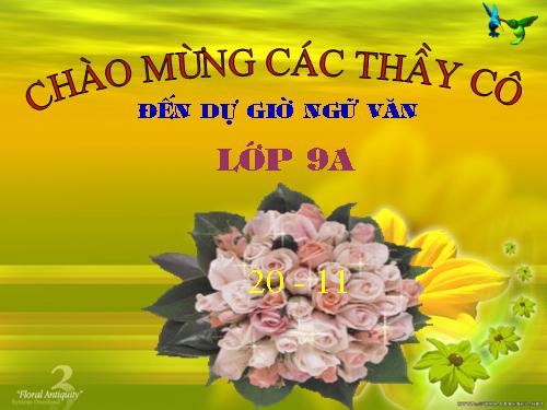 Bài 11. Tổng kết về từ vựng (Từ tượng thanh, tượng hình, một số phép tu từ từ vựng)