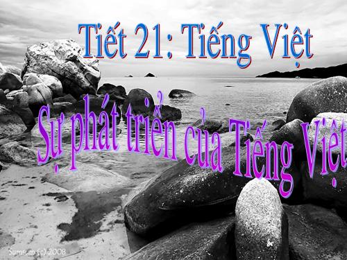 Bài 4. Sự phát triển của từ vựng