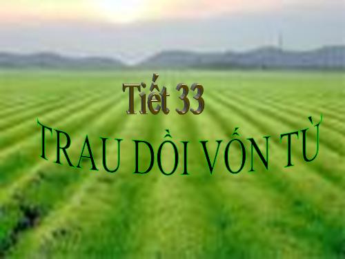 Bài 7. Trau dồi vốn từ