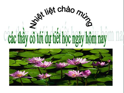 Bài 1. Phong cách Hồ Chí Minh