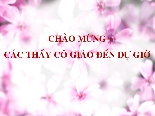 Bài 10. Đồng chí