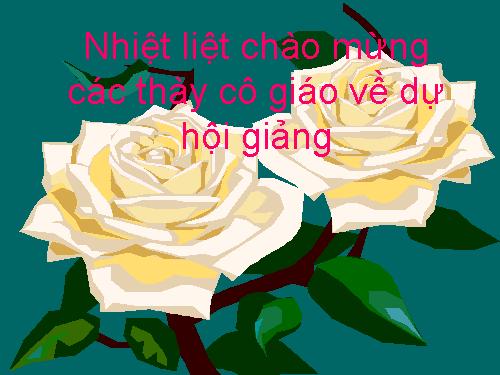 Bài 15. Chiếc lược ngà