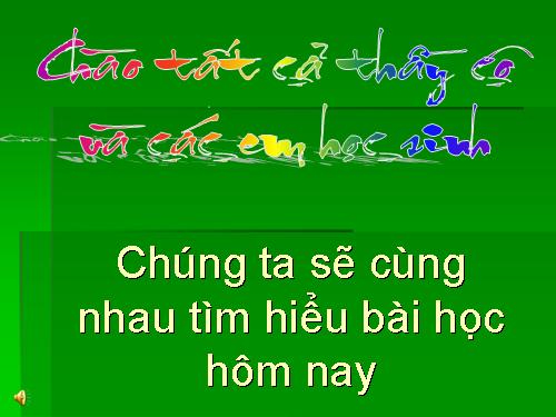 Bài 13. Chương trình địa phương (phần Tiếng Việt)