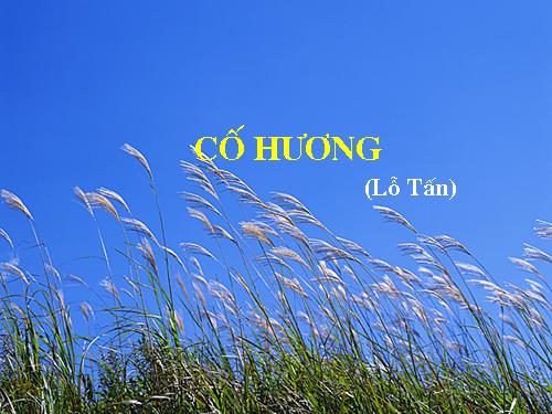 Bài 16. Cố hương