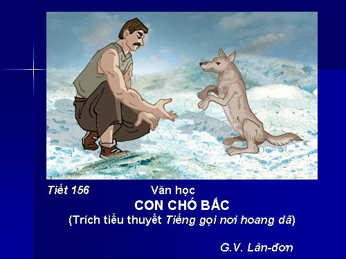 Bài 31. Con chó Bấc