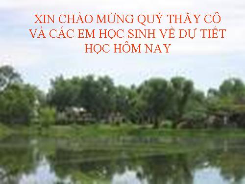 Bài 27. Bến quê