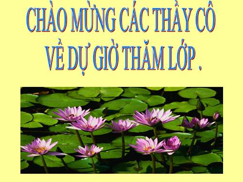 Bài 14. Ôn tập phần Tiếng Việt (Các phương châm hội thoại)