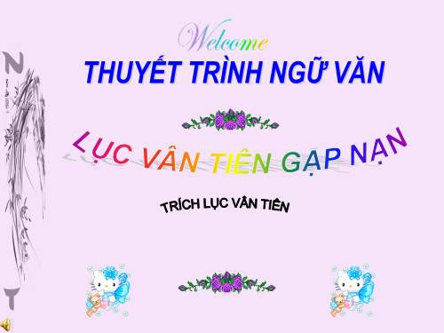 Bài 9. Lục Vân Tiên gặp nạn