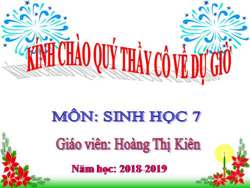 Bài 21. Đặc điểm chung và vai trò của ngành Thân mềm