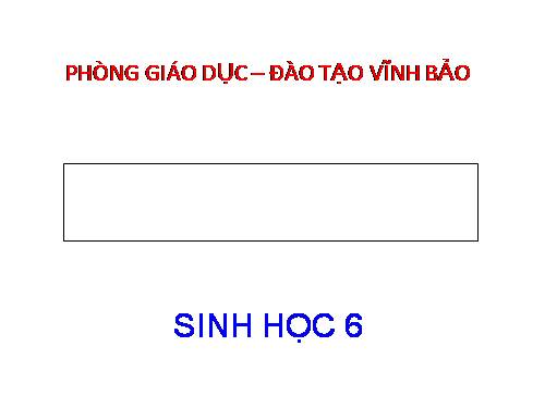 Bài 14. Thân dài ra do đâu ?