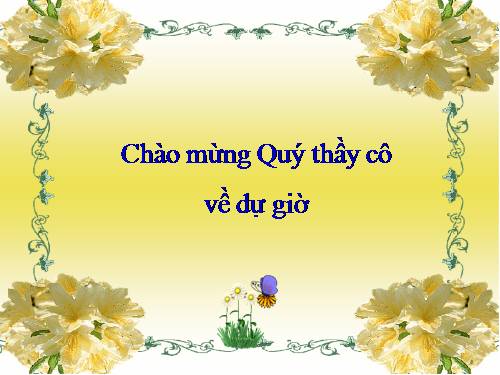 Bài 17. Vận chuyển các chất trong thân