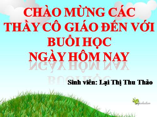 Tuần 25-26. MRVT: Dũng cảm