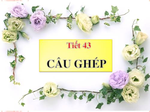 Bài 11. Câu ghép