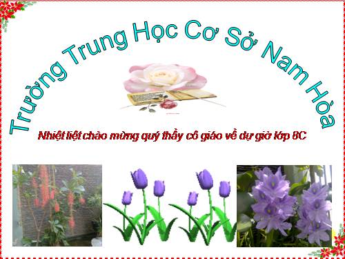 Bài 11. Tìm hiểu chung về văn bản thuyết minh