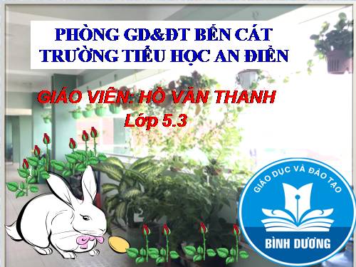 Tuần 1-2-3-4-6-7-8. Luyện tập tả cảnh