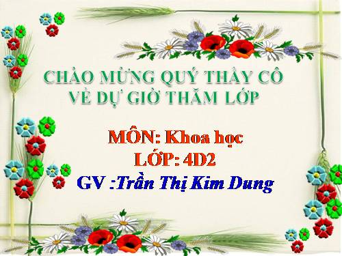 Tuần 4. Tả cảnh (Kiểm tra viết)