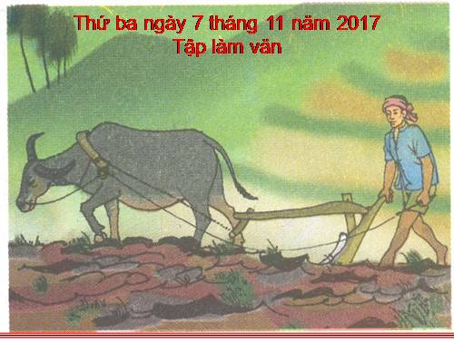 Tuần 12. Cấu tạo của bài văn tả người