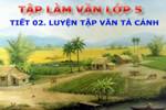 Tuần 1-2-3-4-6-7-8. Luyện tập tả cảnh