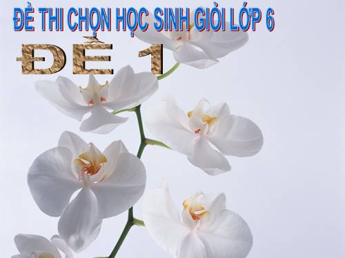 Tuần 35. Ôn tập Cuối Học kì II