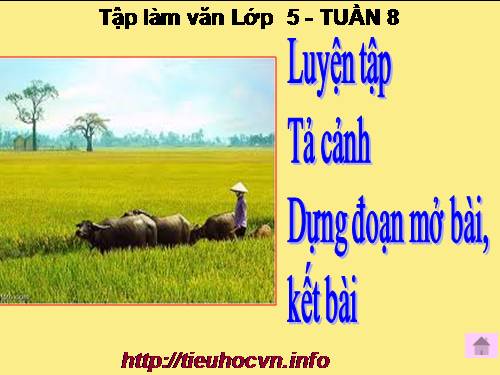 Tuần 8. Luyện tập tả cảnh (Dựng đoạn mở bài, kết bài)