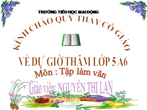 Tuần 1-2-3-4-6-7-8. Luyện tập tả cảnh