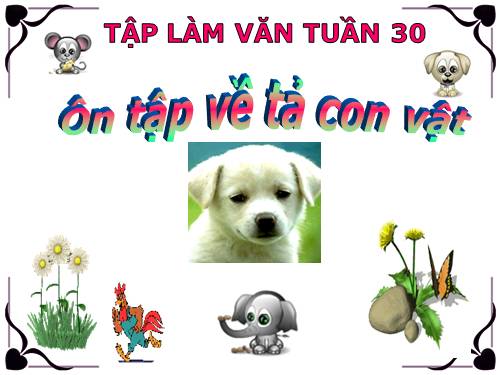 Tuần 30. Ôn tập về tả con vật